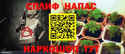 амф Коммунар